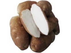 布尔班克
