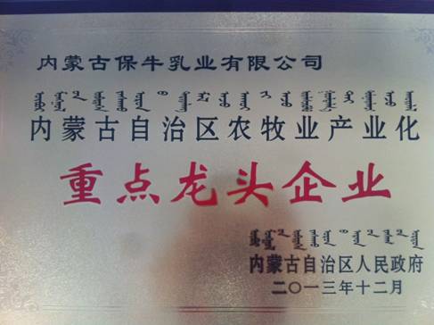 自治区龙头企业