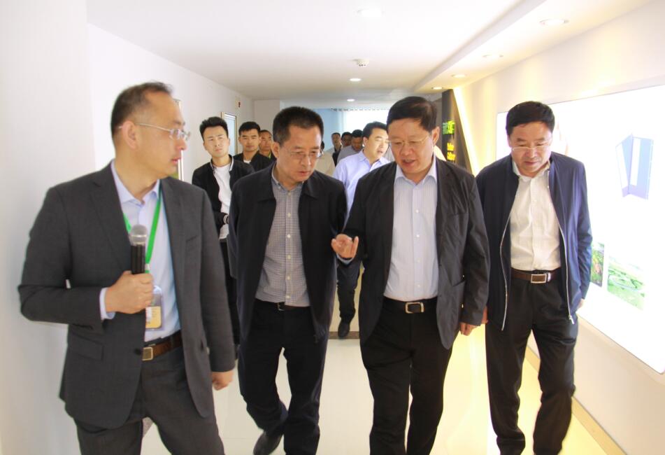 内蒙古自治区政府副主席王波一行莅临美洋洋公司考察调研