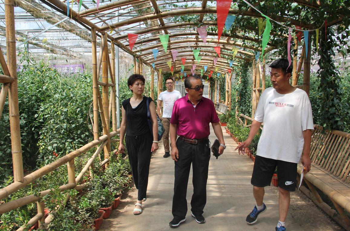 内蒙古农牧业产业化龙头企业协会推进休闲观光农业线上线下互动发展