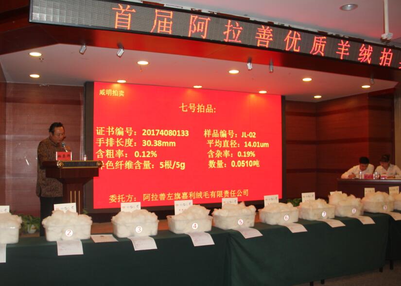 创新引领未来，品质铸就辉煌 首届阿拉善优质羊绒拍卖会盛大举行