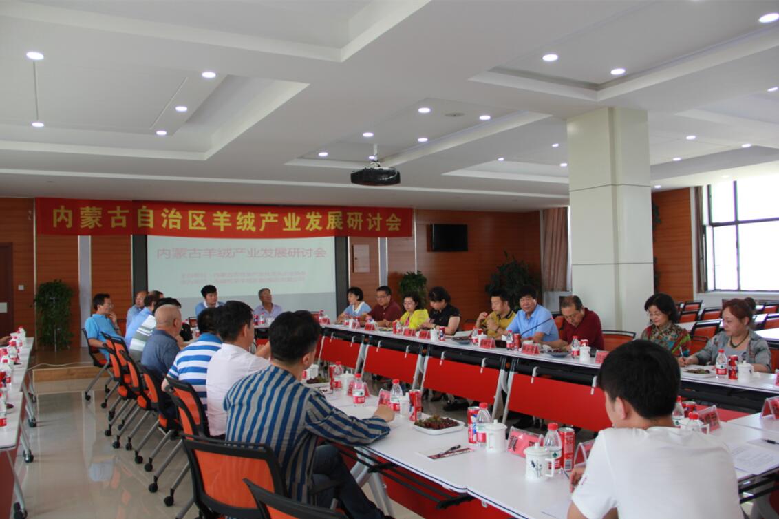 齐心协力，共谋内蒙古羊绒产业发展新思路