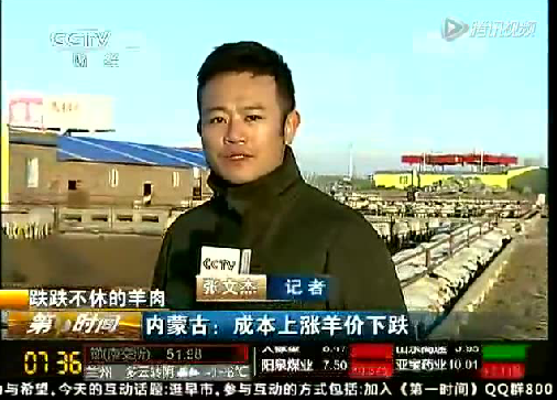 央视财经频道报道---跌跌不休的羊肉
