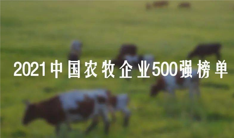 2021中国农牧企业500强 内蒙古9家企业登榜!