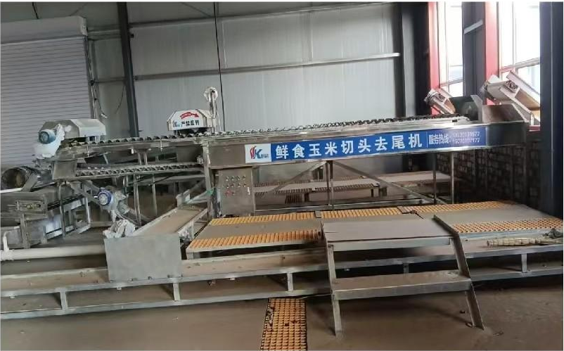 鲜食玉米加工项目集锦丨巴彦淖尔市28项鲜食玉米加工设备转让&达拉特旗蒙禾鲜食玉米加工厂出租