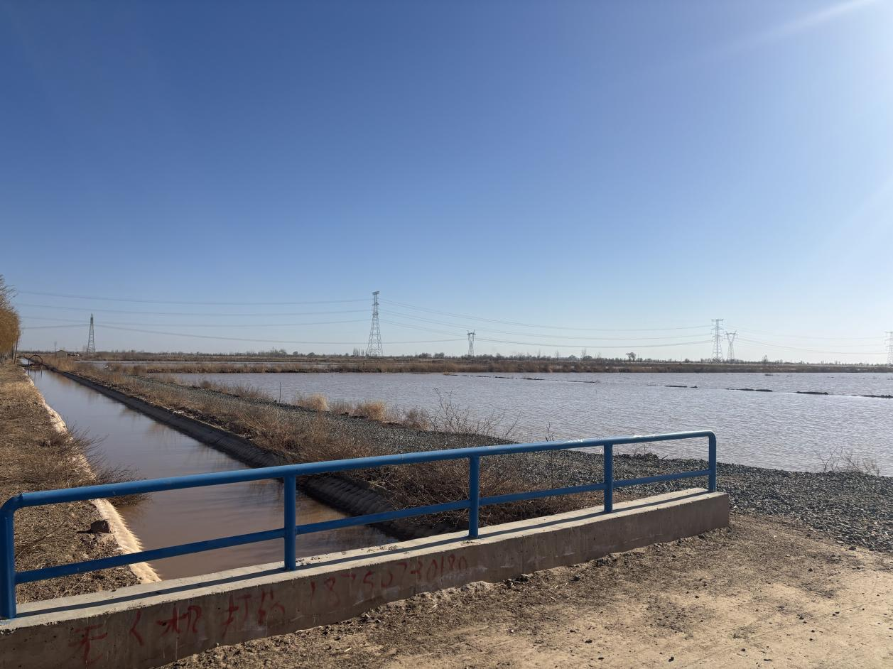 巴彦淖尔市首宗规范化农村产权交易挂牌！杭锦后旗双庙镇尖子地村660亩高标准农田经营权公开出租