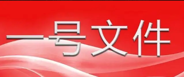 中共中央 国务院关于进一步深化农村改革 扎实推进乡村全面振兴的意见