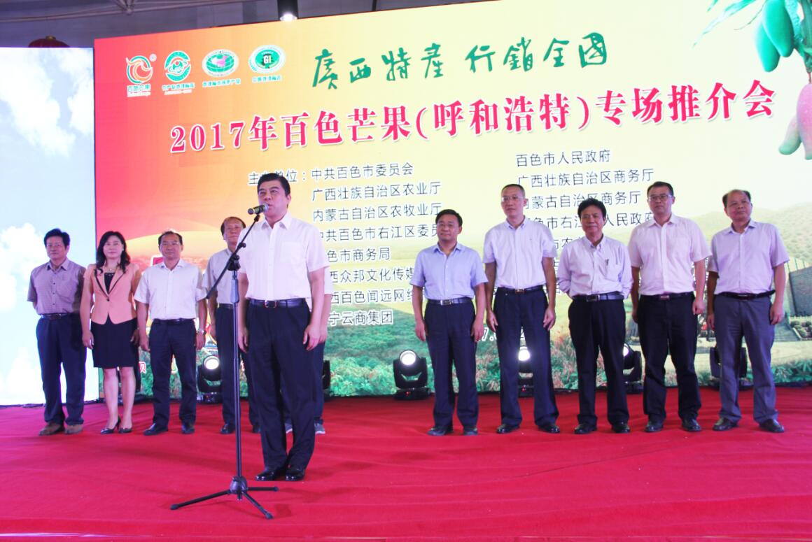 百色市委副书记,统战部部长杨春庭宣布推介会正式启动